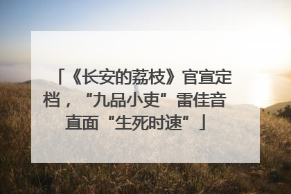 《长安的荔枝》官宣定档，“九品小吏”雷佳音直面“生死时速”