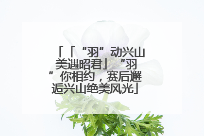 「“羽”动兴山 美遇昭君」“羽”你相约，赛后邂逅兴山绝美风光