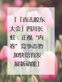 「直击股东大会」四川长虹：正视“内卷”竞争态势 加快培育发展新动能