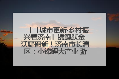 「城市更新·乡村振兴看济南」锦鲤跃金 沃野图新！济南市长清区：小锦鲤大产业 游出农旅新风景