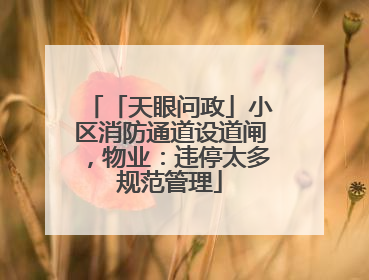「天眼问政」小区消防通道设道闸，物业：违停太多规范管理