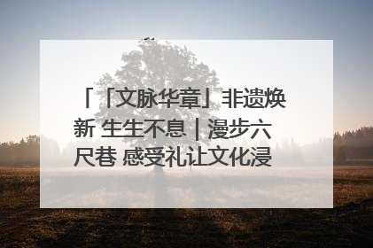 「文脉华章」非遗焕新 生生不息｜漫步六尺巷 感受礼让文化浸润的“巷”往生活