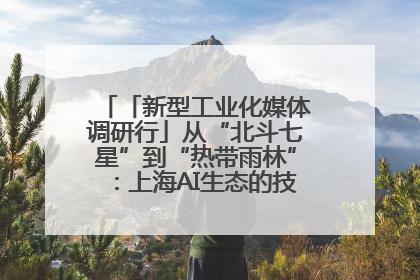 「新型工业化媒体调研行」从“北斗七星”到“热带雨林”：上海AI生态的技术商业共生密码
