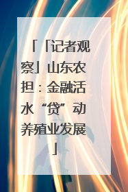 「记者观察」山东农担：金融活水“贷”动养殖业发展