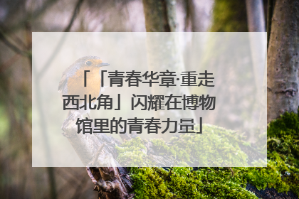 「青春华章·重走西北角」闪耀在博物馆里的青春力量