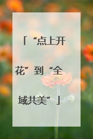 “点上开花”到“全域共美”