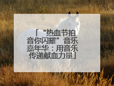 “热血节拍 音你闪耀”音乐嘉年华：用音乐传递献血力量