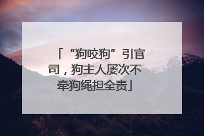 “狗咬狗”引官司，狗主人屡次不牵狗绳担全责