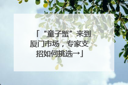 “童子蟹”来到厦门市场，专家支招如何挑选→