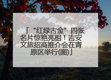 “红绿古金”四张名片惊艳亮相！吉安文旅招商推介会在青原区举行(图)