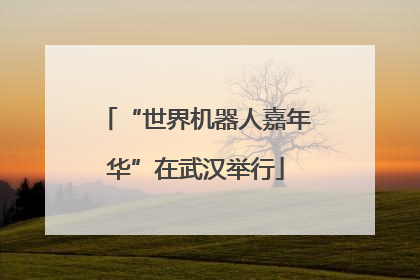 “世界机器人嘉年华”在武汉举行