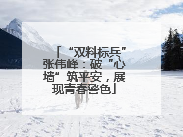 “双料标兵”张伟峰：破“心墙”筑平安，展现青春警色
