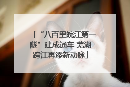 “八百里皖江第一隧”建成通车 芜湖跨江再添新动脉