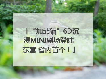 “加菲猫”6D沉浸MINI剧场登陆东营 省内首个！