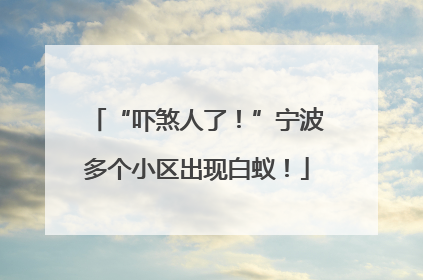 “吓煞人了！”宁波多个小区出现白蚁！