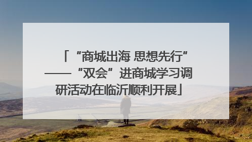 “商城出海 思想先行”——“双会”进商城学习调研活动在临沂顺利开展