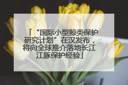 “国际小型鲸类保护研究计划”在汉发布，将向全球推介落地长江江豚保护经验