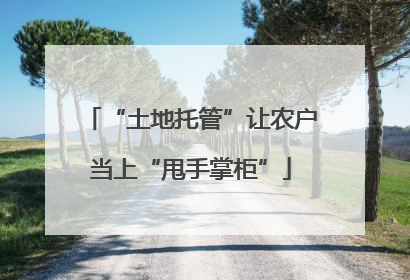 “土地托管”让农户当上“甩手掌柜”