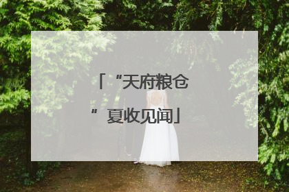 “天府粮仓”夏收见闻