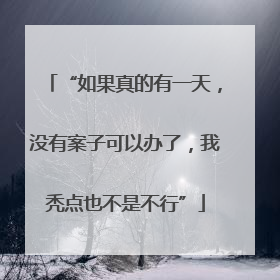 “如果真的有一天，没有案子可以办了，我秃点也不是不行”