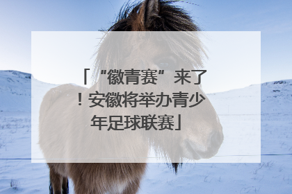 “徽青赛”来了！安徽将举办青少年足球联赛