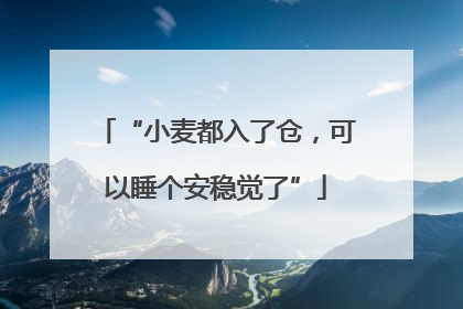 “小麦都入了仓，可以睡个安稳觉了”