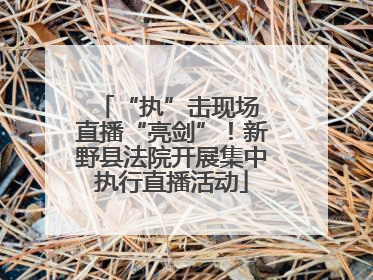 “执”击现场 直播“亮剑”！新野县法院开展集中执行直播活动