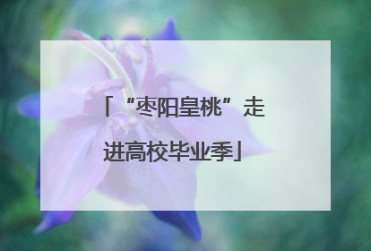 “枣阳皇桃”走进高校毕业季