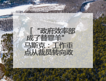 “政府效率部成了替罪羊” 马斯克：工作重点从裁员转向政府电脑系统