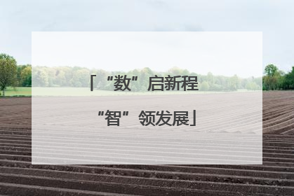 “数”启新程 “智”领发展