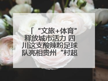 “文旅+体育”释放城市活力 四川这支酸辣粉足球队亮相贵州“村超”后收到感谢信