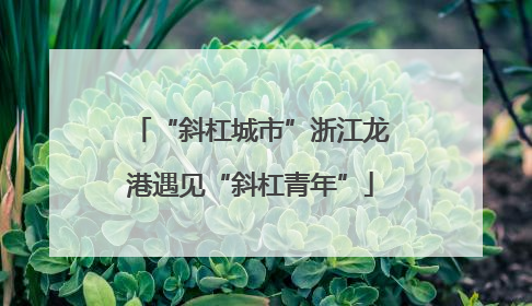 “斜杠城市”浙江龙港遇见“斜杠青年”