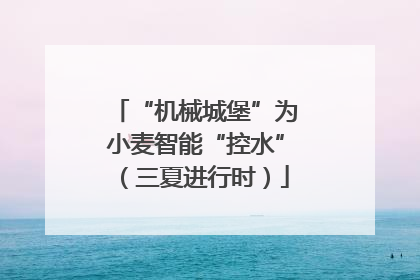 “机械城堡”为小麦智能“控水”（三夏进行时）