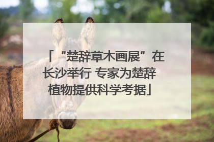 “楚辞草木画展”在长沙举行 专家为楚辞植物提供科学考据