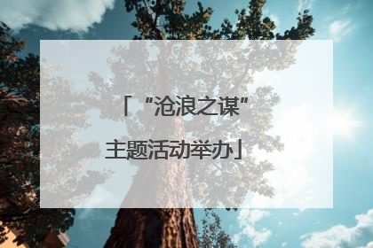 “沧浪之谋”主题活动举办