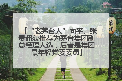 “老茅台人”向平、张贵超获推荐为茅台集团副总经理人选，后者是集团最年轻党委委员