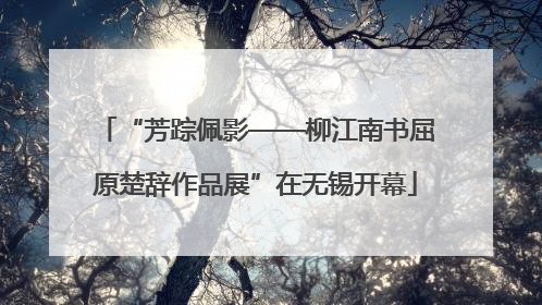“芳踪佩影——柳江南书屈原楚辞作品展”在无锡开幕