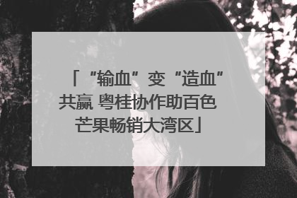 “输血”变“造血”共赢 粤桂协作助百色芒果畅销大湾区
