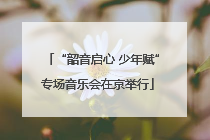“韶音启心 少年赋”专场音乐会在京举行