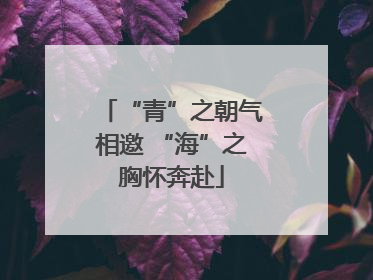 “青”之朝气相邀 “海”之胸怀奔赴