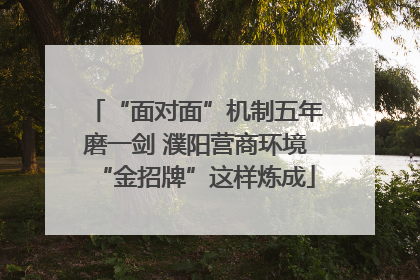 “面对面”机制五年磨一剑 濮阳营商环境“金招牌”这样炼成