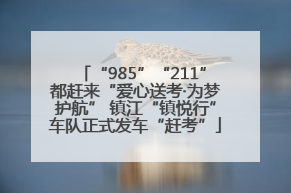 “985”“211”都赶来“爱心送考·为梦护航” 镇江“镇悦行”车队正式发车“赶考”