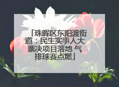 珠晖区东阳渡街道：民生实事人大票决项目落地 气排球赛点燃