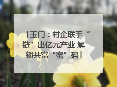 玉门：村企联手“链”出亿元产业 解锁共富“蜜”码