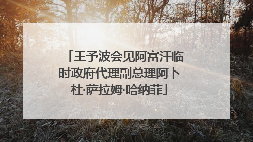 王予波会见阿富汗临时政府代理副总理阿卜杜·萨拉姆·哈纳菲