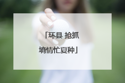 环县 抢抓墒情忙夏种