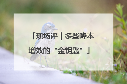 现场评｜多些降本增效的“金钥匙”