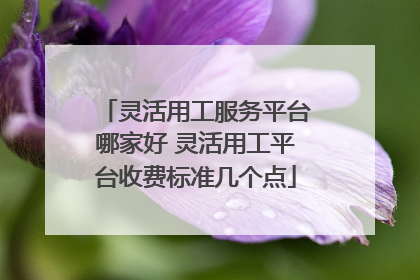 灵活用工服务平台哪家好 灵活用工平台收费标准几个点
