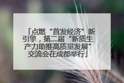 点燃“首发经济”新引擎，第二届“新质生产力助推高质量发展”交流会在成都举行