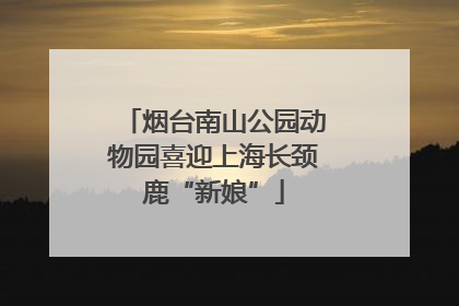烟台南山公园动物园喜迎上海长颈鹿“新娘”
